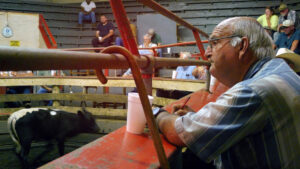 Photograph Entitled The Last Cattle Auction by Sam Mitchell