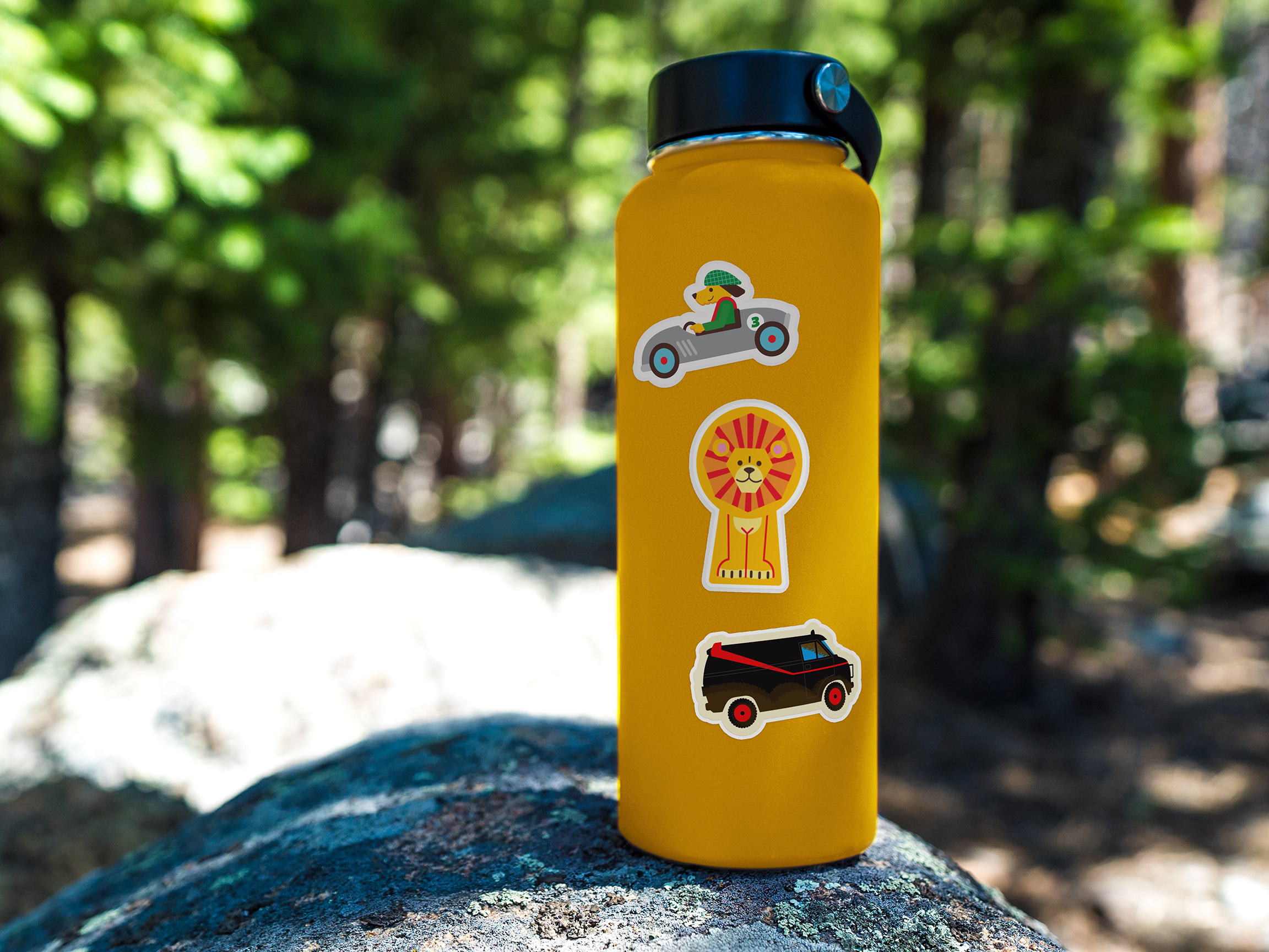 Water bottle with stickers